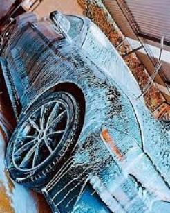 Shampooseado Turismo Grande