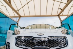 Shampooseado Turismo Pequeño